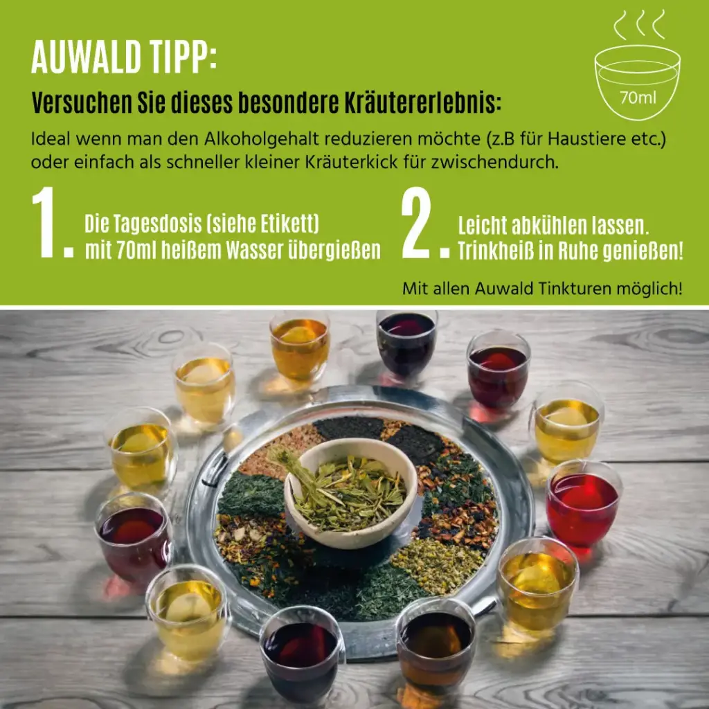 Vorteile_von_Auwald.webp