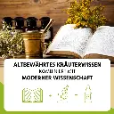 Altbewährt_und_modern.webp