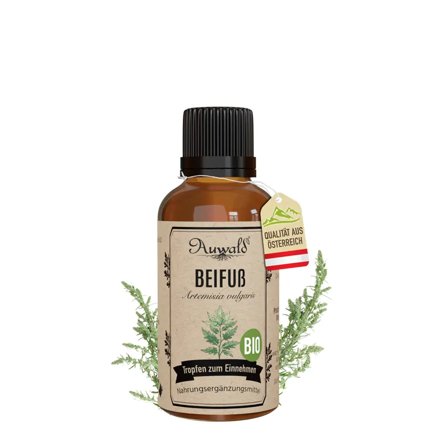 Beifuß Tinktur BIO 30ml (Beifuß Extrakt)