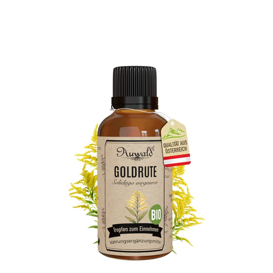 Goldrute Tinktur BIO 30ml (Goldrute Extrakt)
