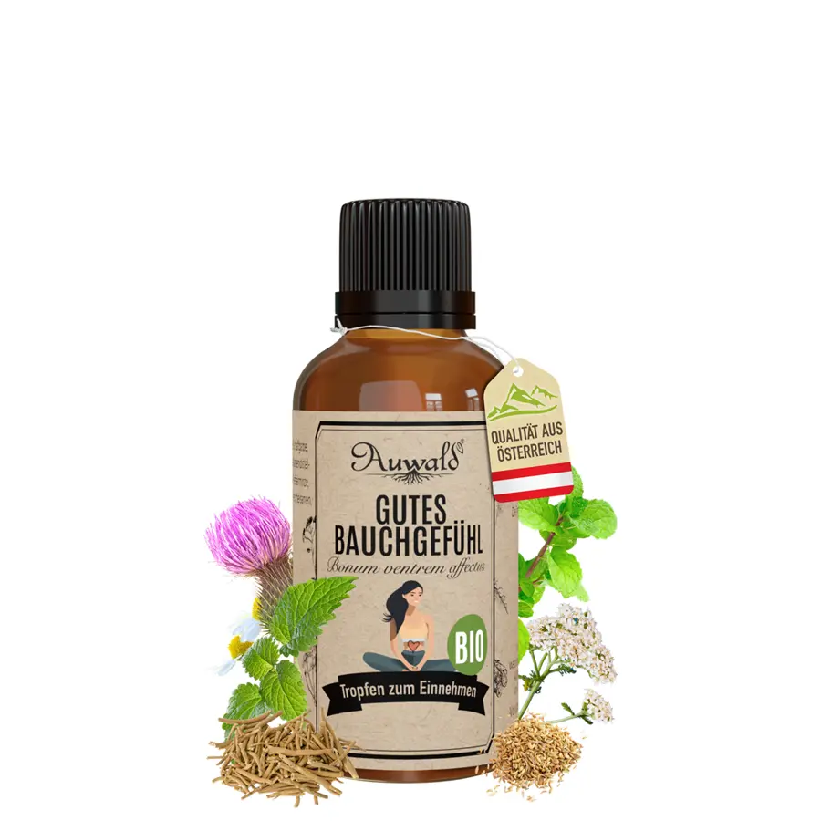 Gutes Bauchgefühl Tinktur BIO 30ml