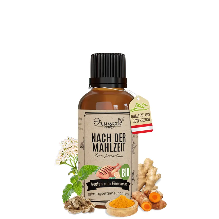 Nach der Mahlzeit - Tinktur BIO 30ml