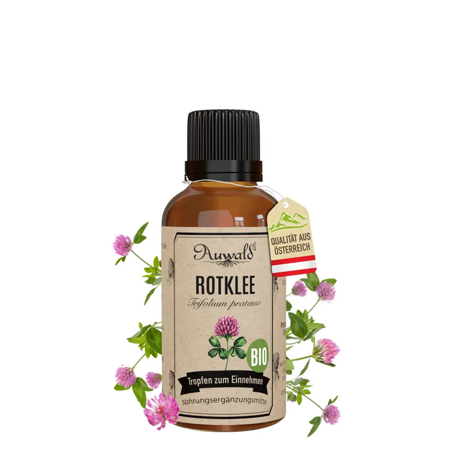 Rotklee Tinktur BIO 30ml (Rotklee Extrakt)