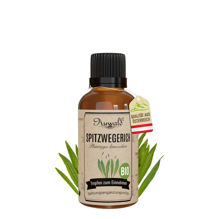 Spitzwegerich Tinktur BIO 30ml (Spitzwegerich Extrakt)
