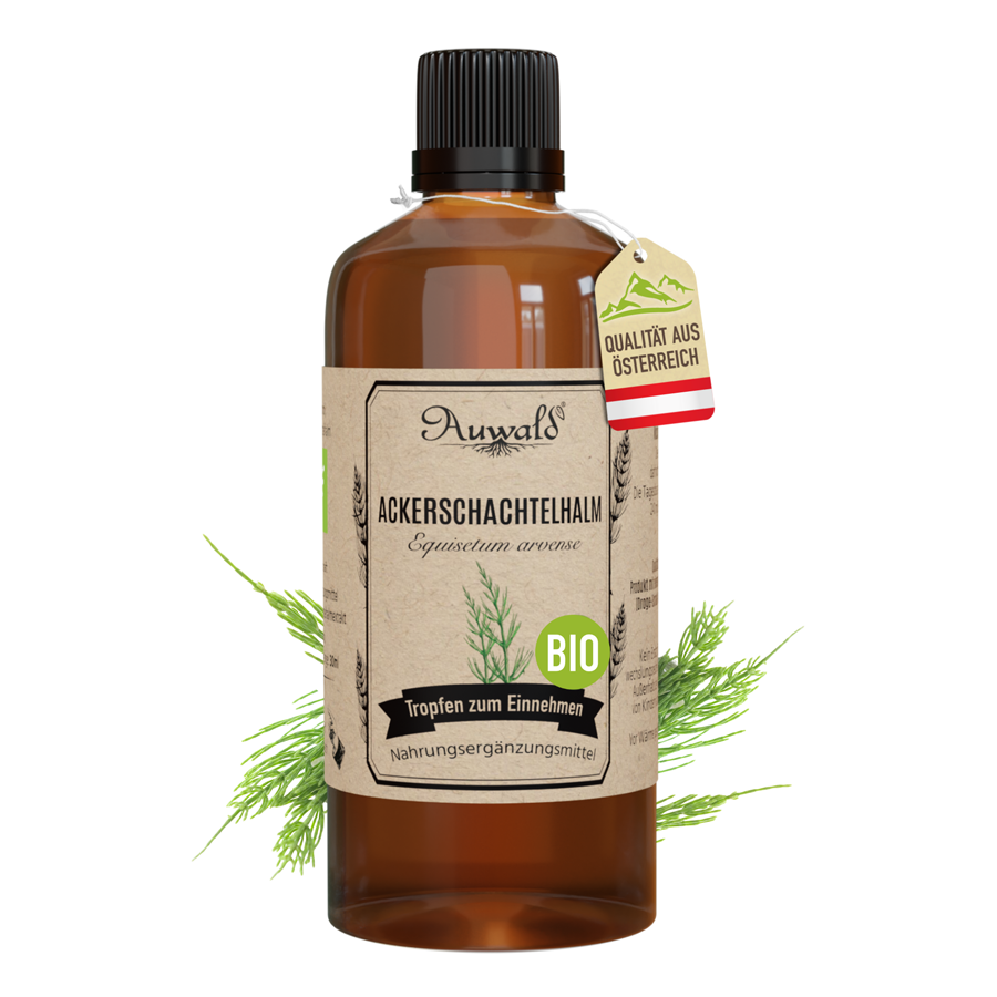 Ackerschachtelhalm Tinktur BIO 100ml (Ackerschachtelhalm Extrakt)