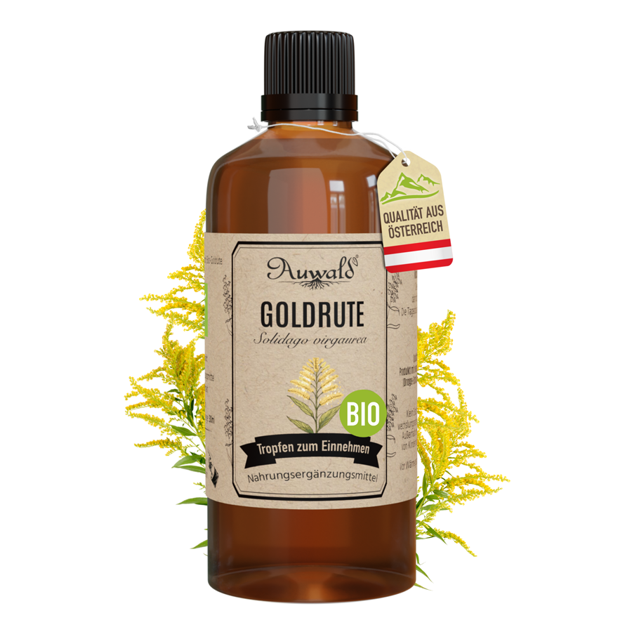 Goldrute Tinktur BIO 100ml (Goldrute Extrakt)
