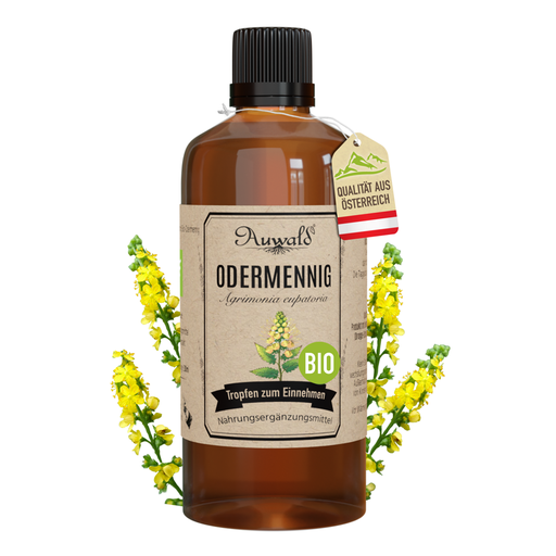 Odermennig Tinktur BIO 100ml (Odermennig Extrakt)