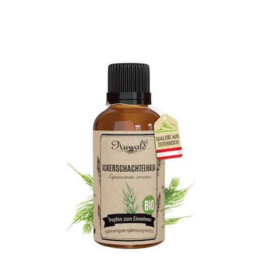Ackerschachtelhalm Tinktur BIO 30ml (Ackerschachtelhalm Extrakt)