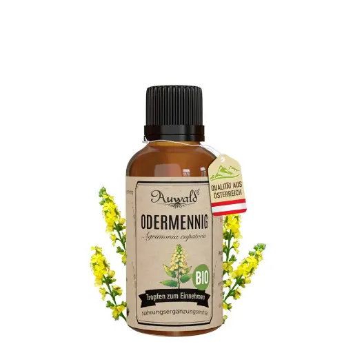 Odermennig Tinktur BIO 30ml (Odermennig Extrakt)