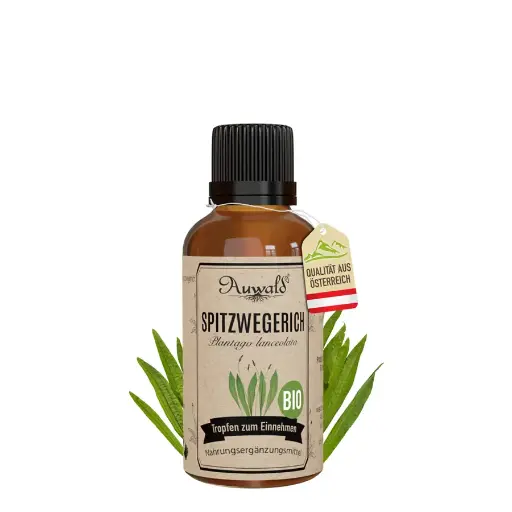 Spitzwegerich Tinktur BIO 30ml (Spitzwegerich Extrakt)