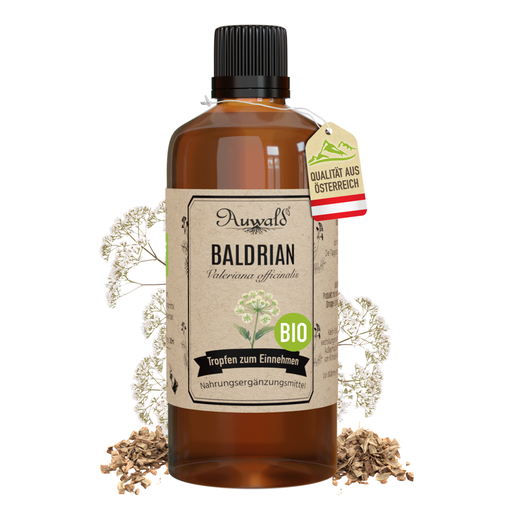 Baldrian Tinktur BIO 100ml (Baldrian Extrakt)